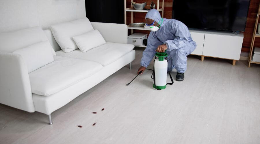 Why choose TTYP Wilmington for tick treatments for yard  pets in Wilmington